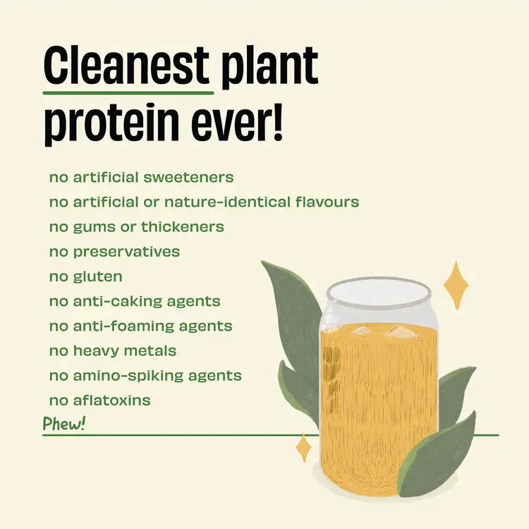 Pista Badaam 24g Plant Protein - 1 Kg