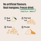 Mango Milkshake 24 g Protein Powder - 1 Kg