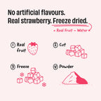 Strawberry Shake 24 g Protein Powder - 1 Kg