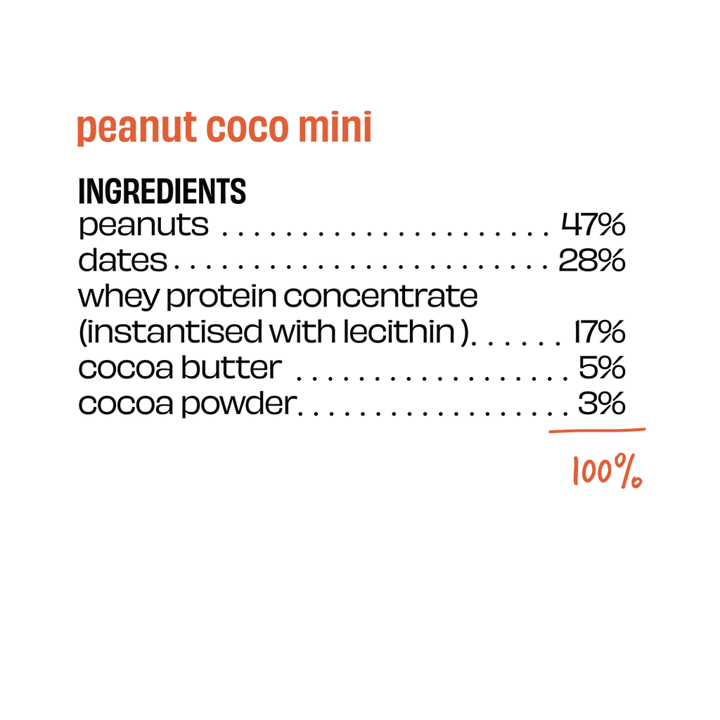 Peanut Cocoa - Mini Protein Bar