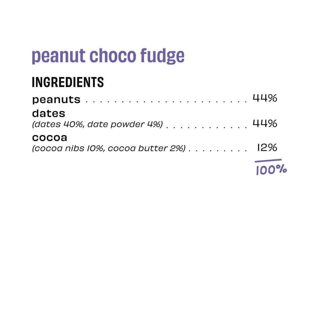 Peanut Choco Fudge - Energy Bar