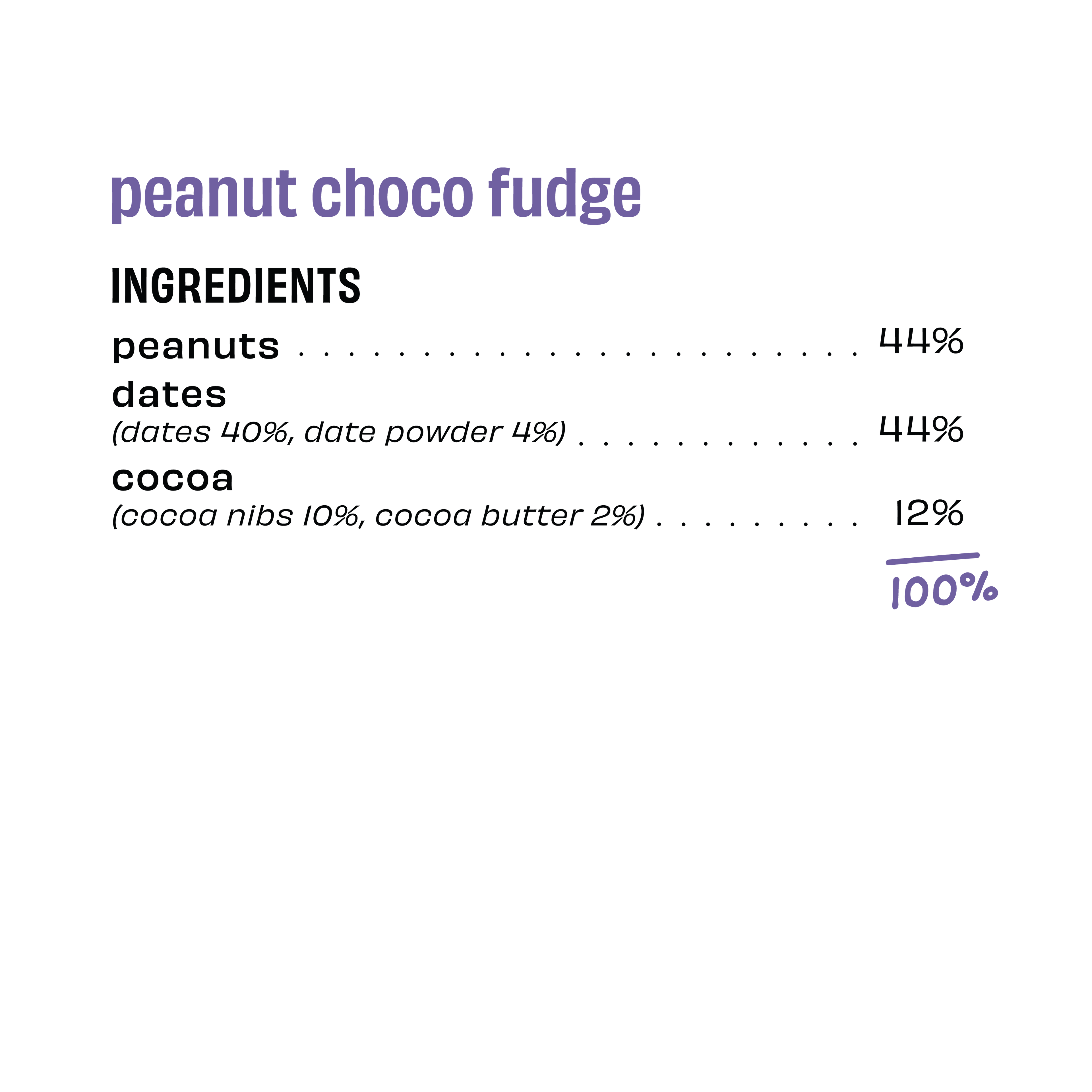 Peanut Choco Fudge - Energy Bar