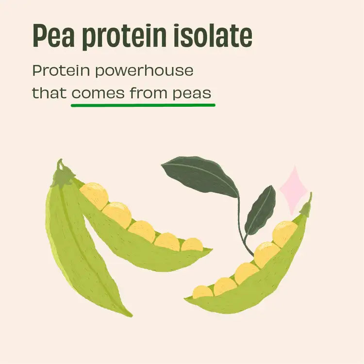 Double Cocoa 25g Plant Protein - 1 Kg