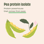Pista Badaam 24g Plant Protein - 1 Kg