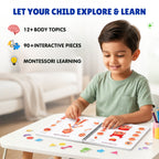 Human Body Busy Book: Interactive Learning Binder for Toddlers & Preschoolers