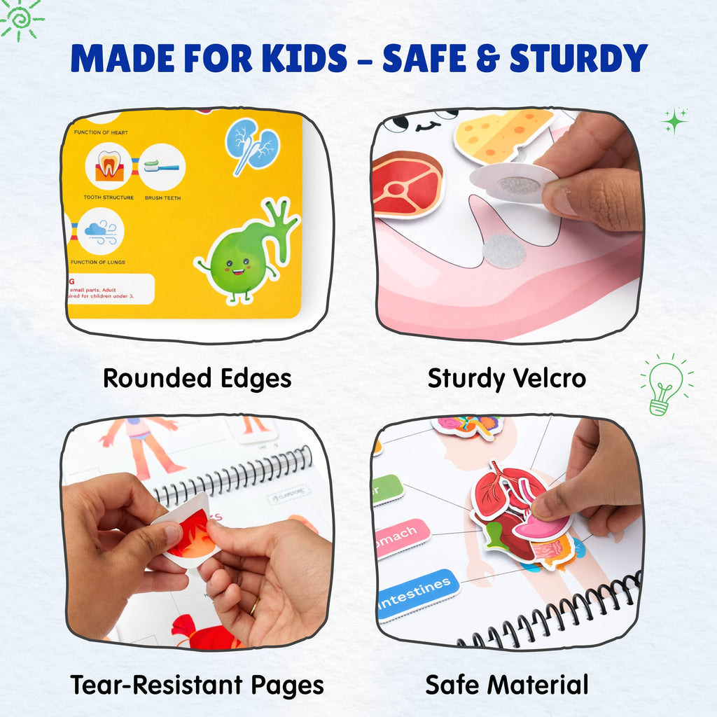 Human Body Busy Book: Interactive Learning Binder for Toddlers & Preschoolers