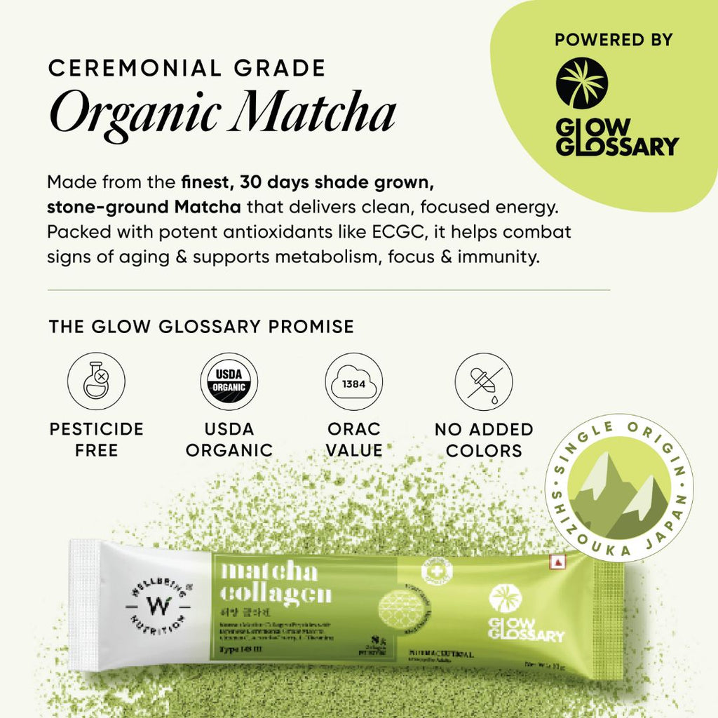Glow Glossary Matcha Collagen
