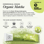 Glow Glossary Matcha Collagen