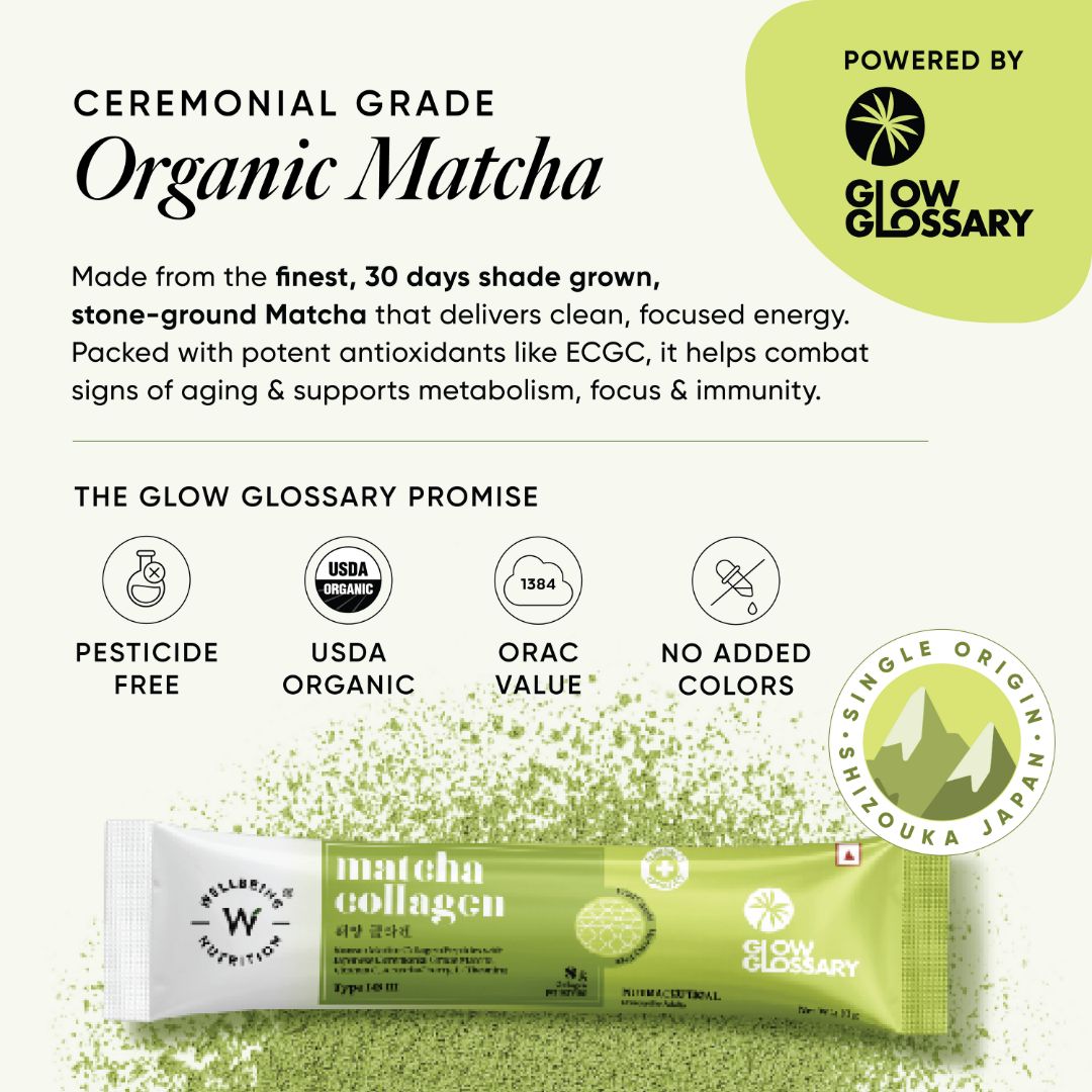 Glow Glossary Matcha Collagen