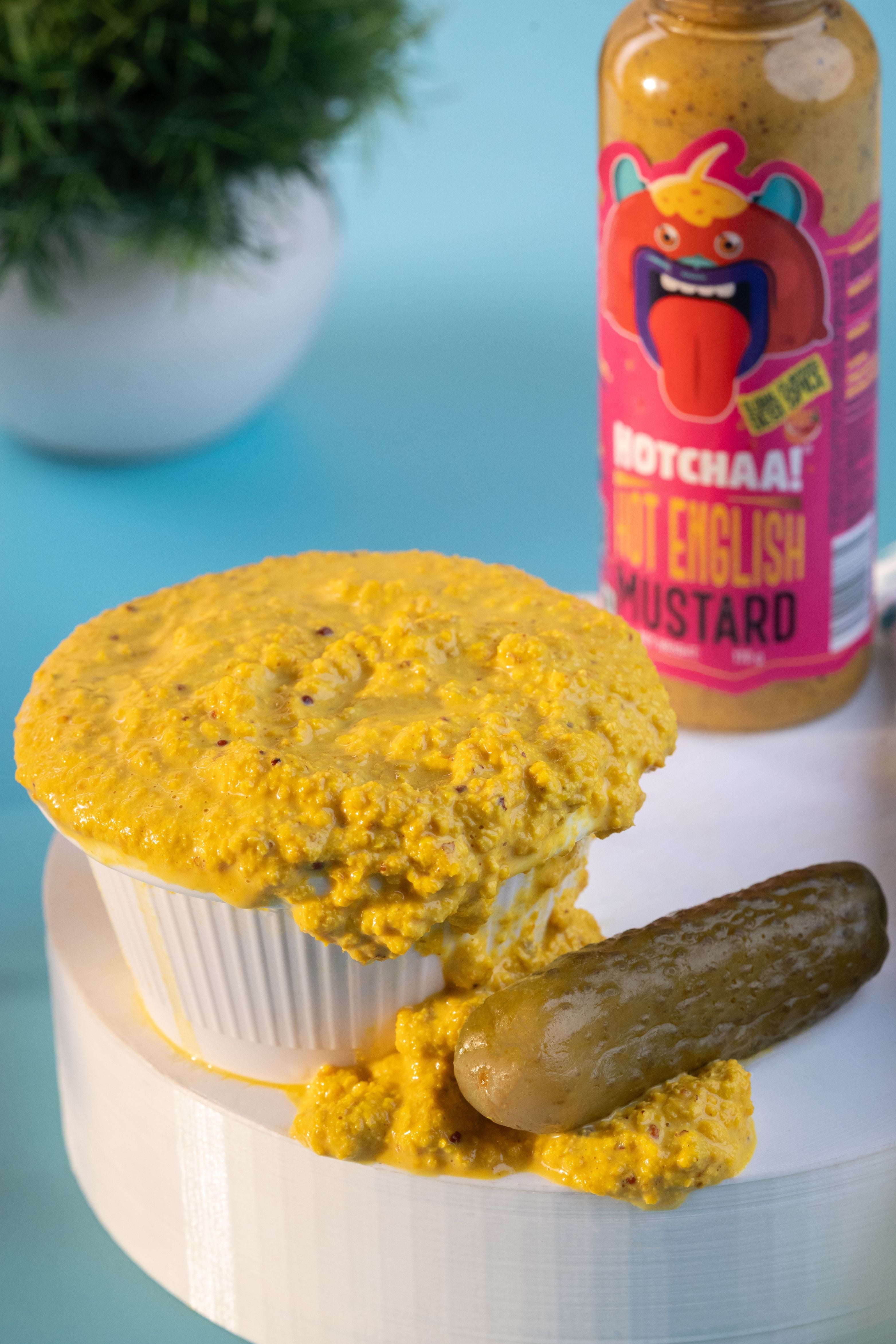 Hot English Mustard Sauce
