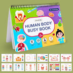 Human Body Busy Book: Interactive Learning Binder for Toddlers & Preschoolers