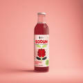 Cranberry Citrus Soda