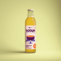 Passionfruit Punch Soda