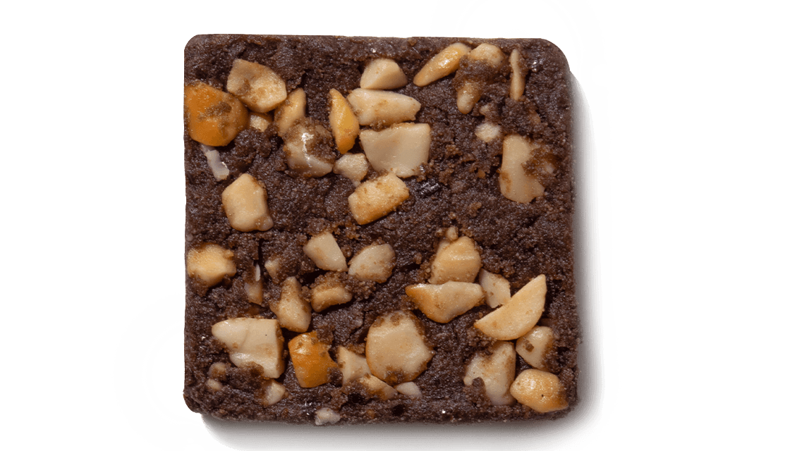 Peanut Cocoa - Mini Protein Bar